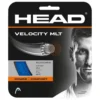 Head Velocity MLT Tennis Single String 12 M -Head || Dunlop || Oakley Sales head velocity mlt tennis single string 12 m