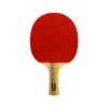 SOFTEE P 300 Table Tennis Racket
