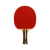 SOFTEE P 700 Table Tennis Racket -Head || Dunlop || Oakley Sales softee p 700 table tennis racket