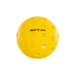 Basic Pickleball Ball