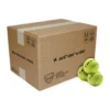Padel Master Padel Balls Box -Head || Dunlop || Oakley Sales star vie padel master padel balls box