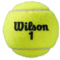 Wilson Roland Garros Clay Tennis Balls -Head || Dunlop || Oakley Sales wilson roland garros clay tennis balls 2