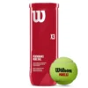 Wilson X3 Padel Balls -Head || Dunlop || Oakley Sales wilson x3 padel balls